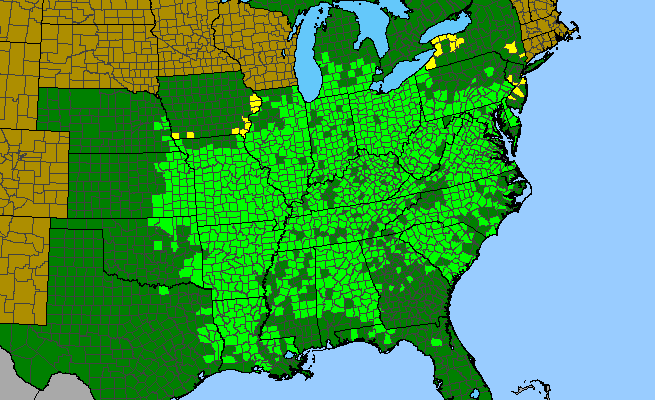 The range of Asimina triloba